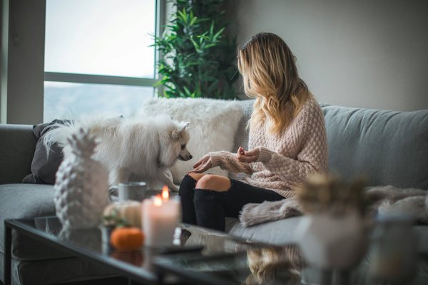 Tips for a pet-friendly home decoration